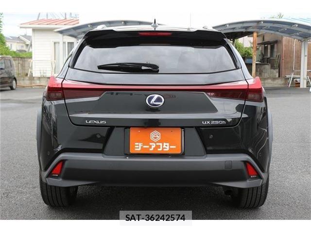 Lexus UX 2019-10 8371811-9
