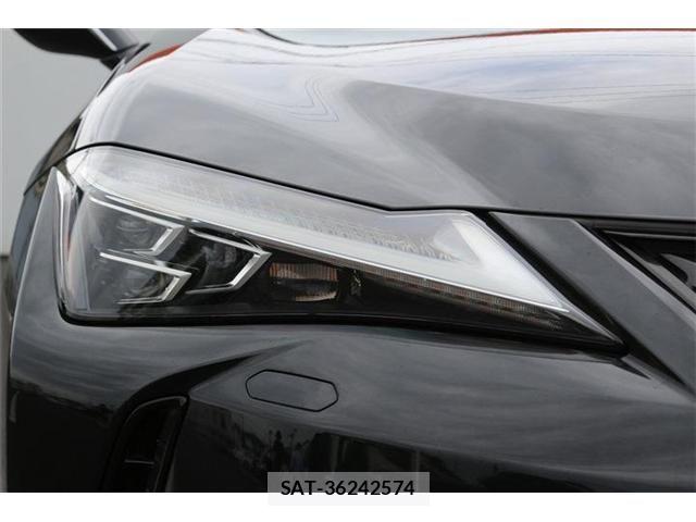 Lexus UX 2019-10 8371811-11