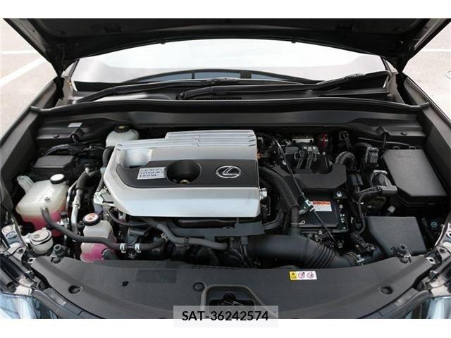 Lexus UX 2019-10 8371811-19