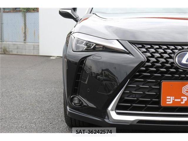 Lexus UX 2019-10 8371811-25