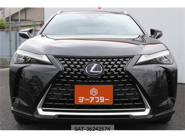 Lexus UX 2019-10 8371811-7