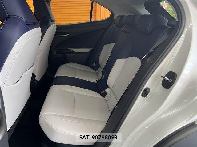 Lexus UX 2019-03 8413349-18