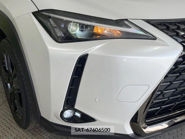 Lexus UX 2021-03 8438365-11