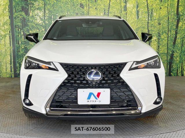 Lexus UX 2021-03 8438365-13