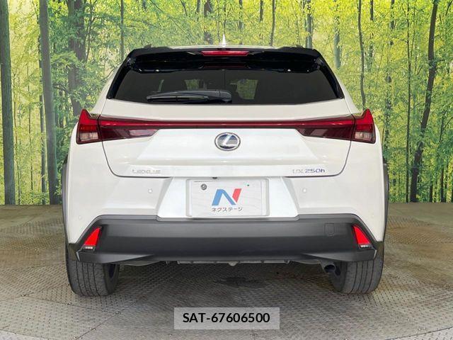 Lexus UX 2021-03 8438365-14