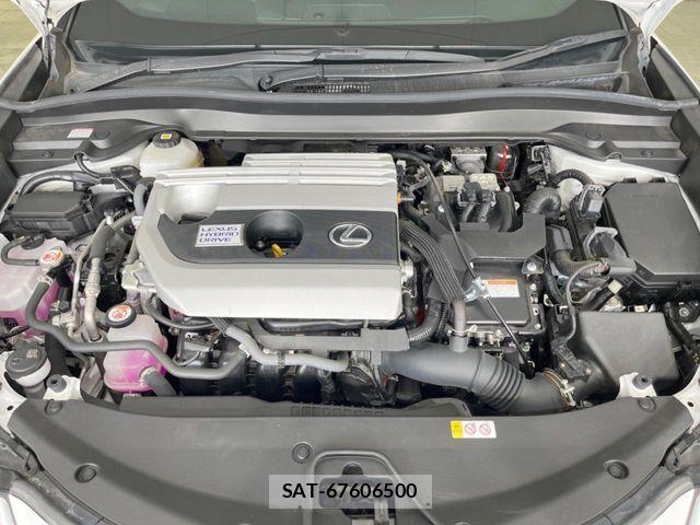 Lexus UX 2021-03 8438365-17