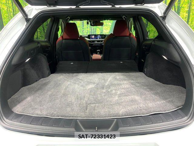 Lexus UX 2019-10 8457842-9