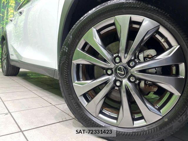 Lexus UX 2019-10 8457842-12