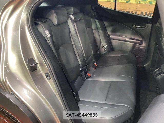 Lexus UX 2021-06 8457840-9