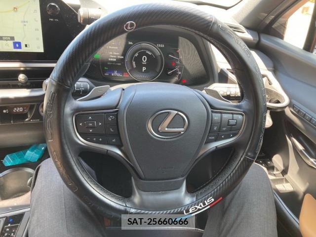 Lexus UX 2024-01 8485658-16