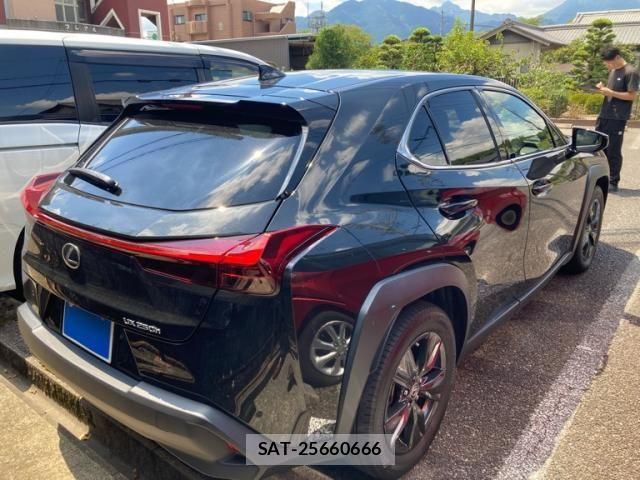 Lexus UX 2024-01 8485658-6