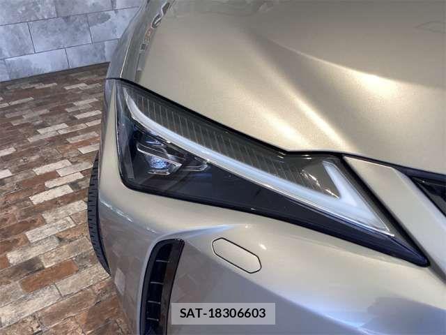 Lexus UX 2020-06 8485656-16