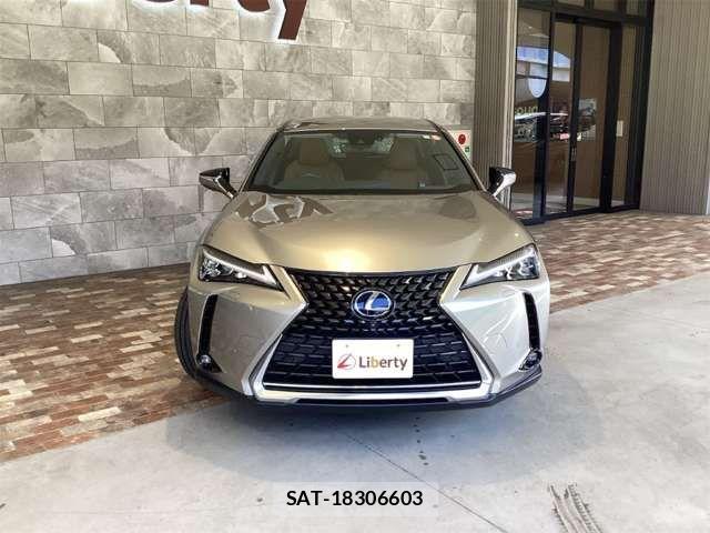 Lexus UX 2020-06 8485656-18