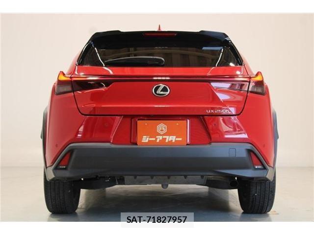 Lexus UX 2022-12 8485660-10