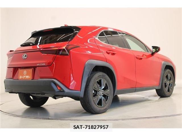 Lexus UX 2022-12 8485660-11