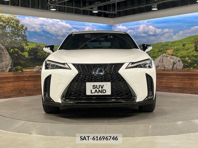 Lexus UX 2021-03 8525601-14