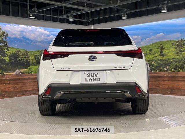 Lexus UX 2021-03 8525601-15