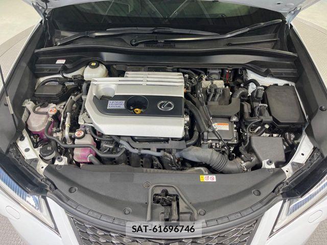 Lexus UX 2021-03 8525601-18