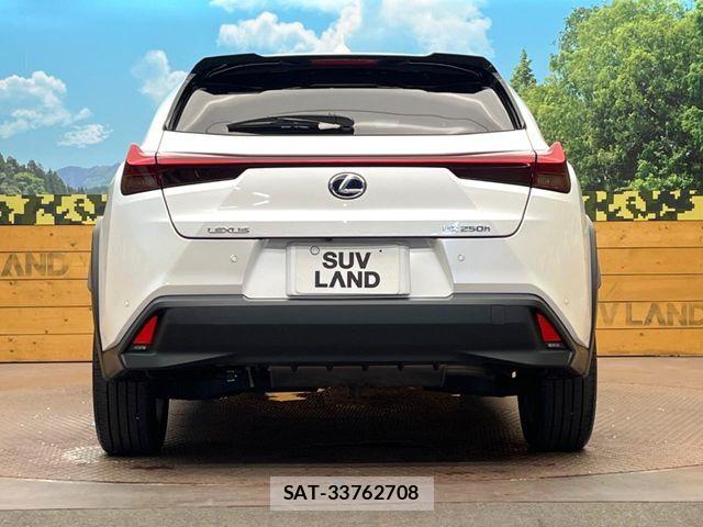Lexus UX 2022-02 8525600-14