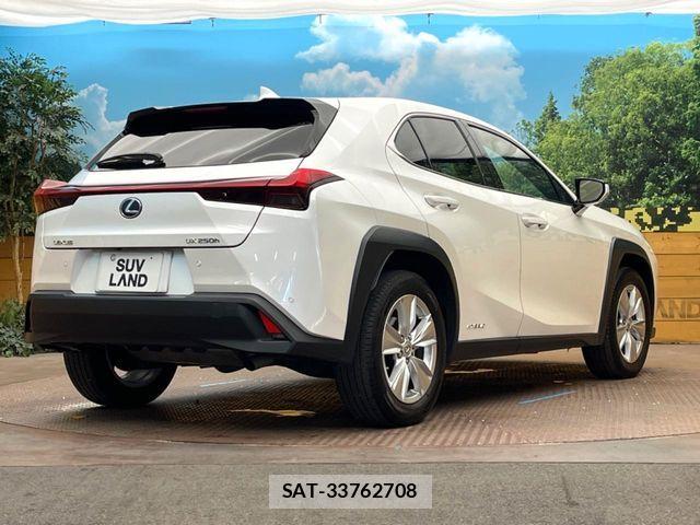 Lexus UX 2022-02 8525600-16