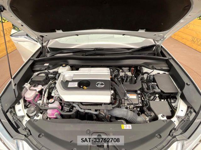 Lexus UX 2022-02 8525600-17