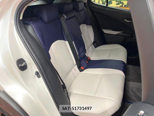 Lexus UX 2019-09 8525602-11