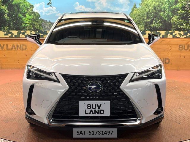 Lexus UX 2019-09 8525602-15