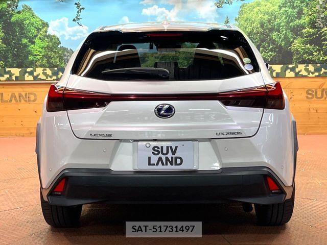Lexus UX 2019-09 8525602-16