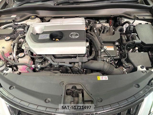 Lexus UX 2019-09 8525602-17