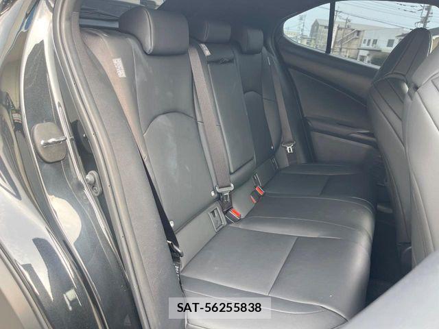 Lexus UX 2020-06 8528545-10