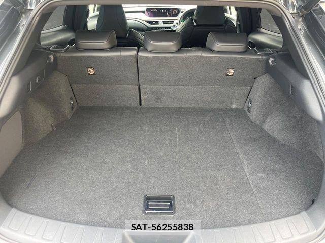 Lexus UX 2020-06 8528545-11