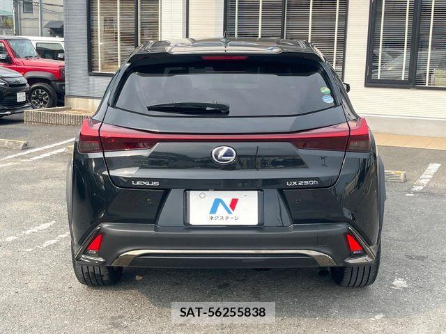 Lexus UX 2020-06 8528545-16
