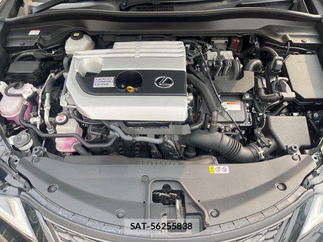 Lexus UX 2020-06 8528545-17