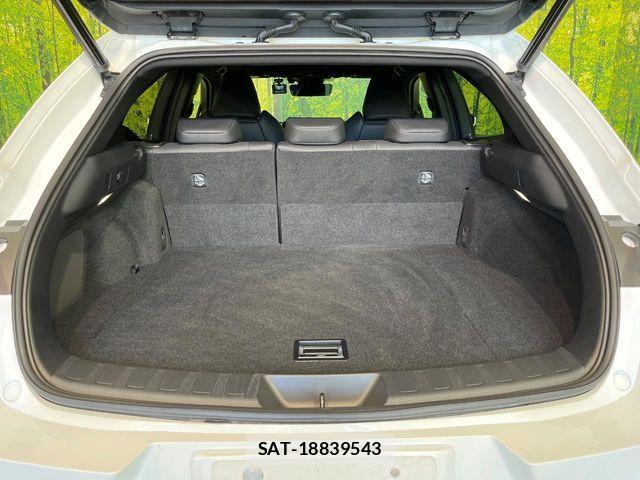 Lexus UX 2020-10 8525597-9