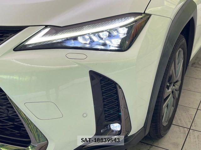 Lexus UX 2020-10 8525597-11