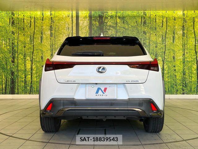 Lexus UX 2020-10 8525597-14