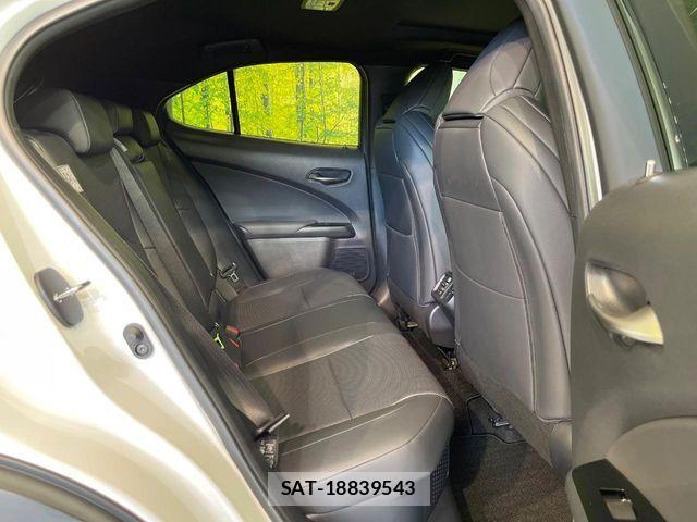 Lexus UX 2020-10 8525597-8