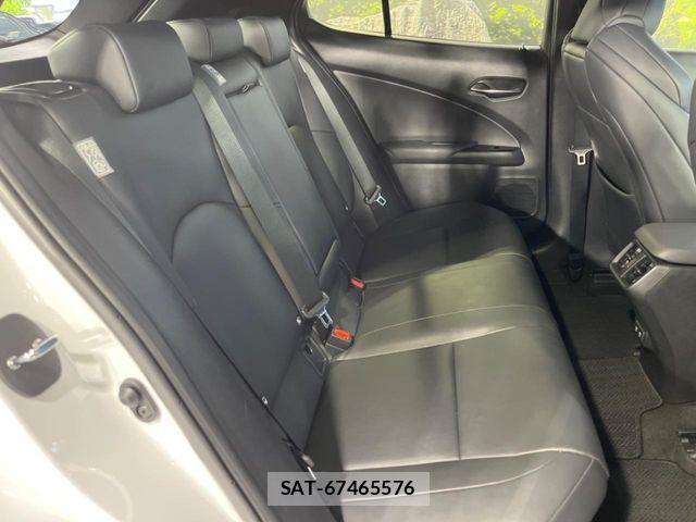 Lexus UX 2020-01 8525599-9