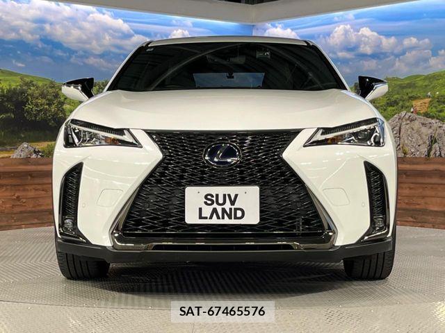 Lexus UX 2020-01 8525599-14