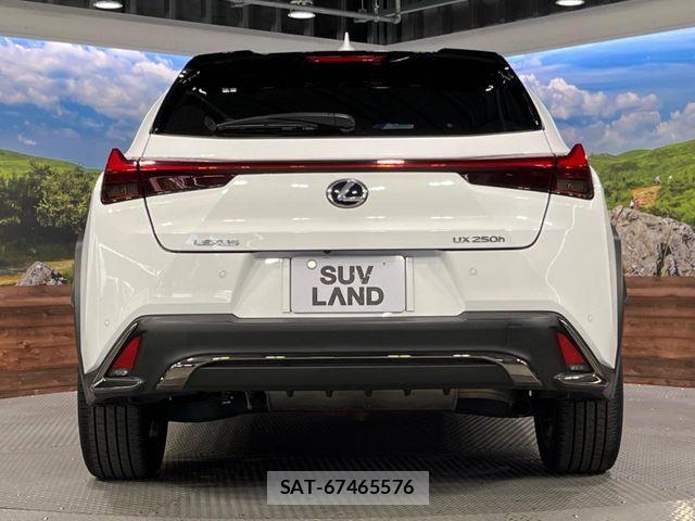 Lexus UX 2020-01 8525599-15