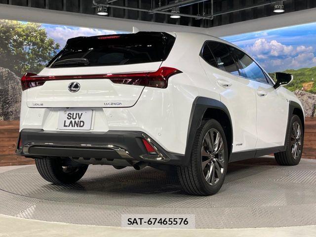 Lexus UX 2020-01 8525599-17