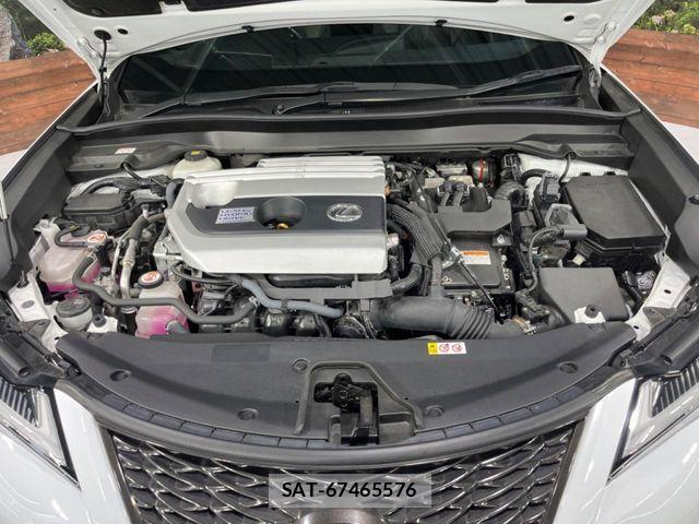 Lexus UX 2020-01 8525599-18