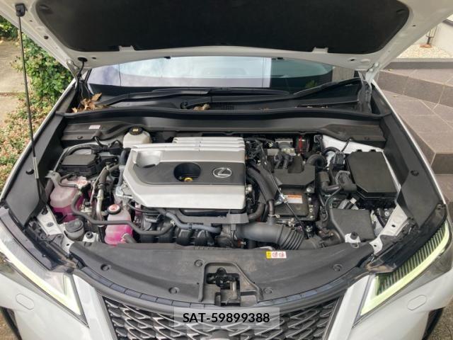 Lexus UX 2023-09 8562502-8