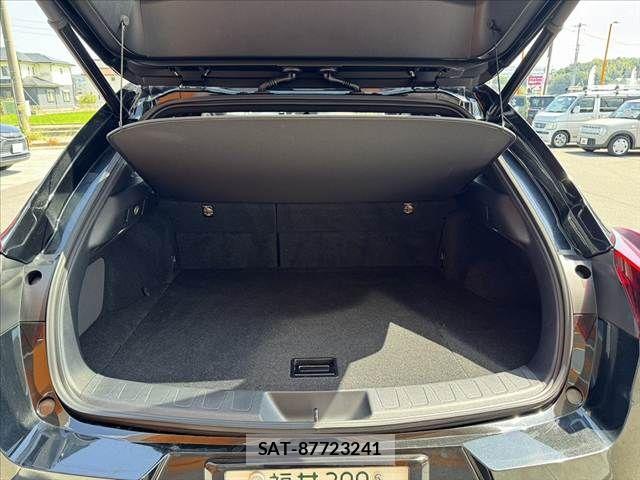 Lexus UX 2019-10 8562501-19