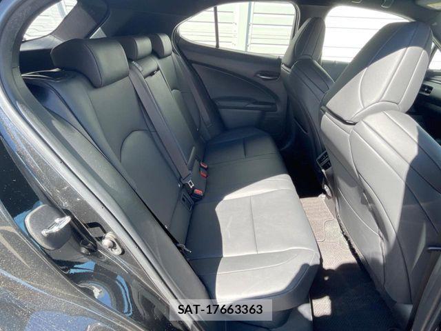 Lexus UX 2019-02 8627539-10