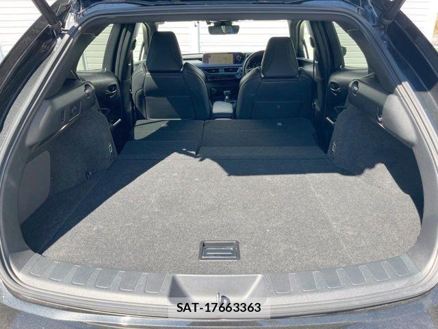 Lexus UX 2019-02 8627539-11