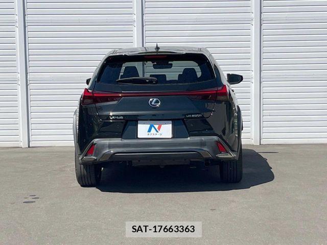 Lexus UX 2019-02 8627539-16