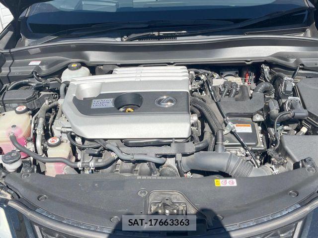 Lexus UX 2019-02 8627539-19