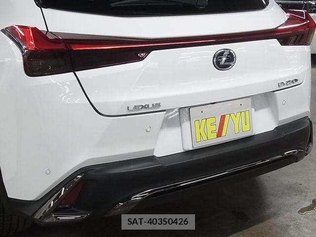 Lexus UX 2019-03 8627540-28