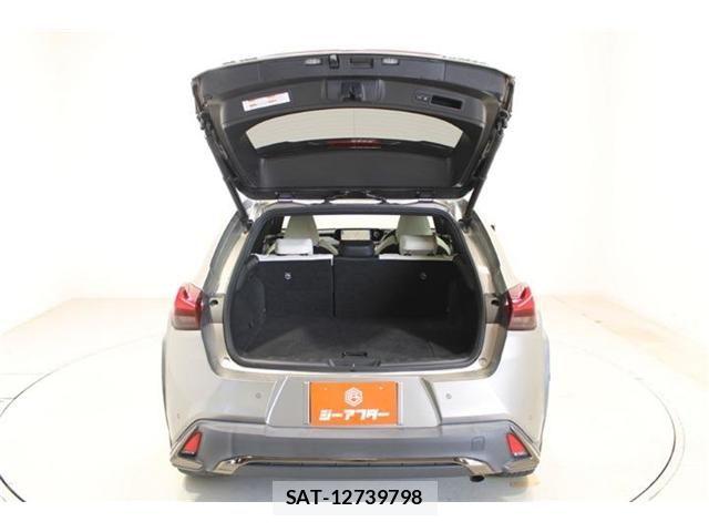 Lexus UX 2019-02 8666433-29